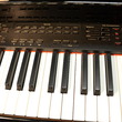 Kurzweil MK150 - Digital Pianos